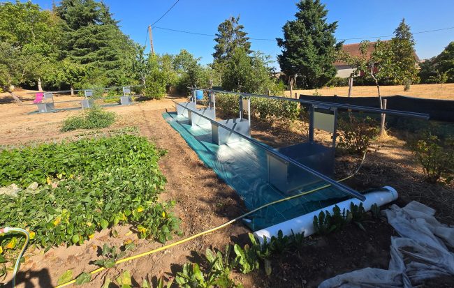 panneaux solaires/panneaux photovoltaïques sur sol, dans un jardin