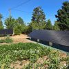 panneaux solaires/panneaux photovoltaïques sur sol, dans un jardin