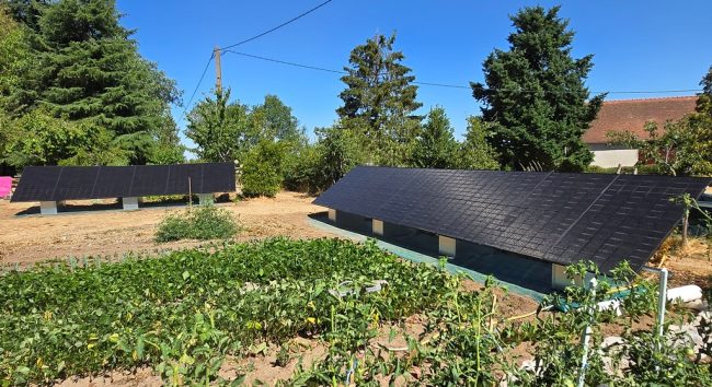 panneaux solaires/panneaux photovoltaïques sur sol, dans un jardin